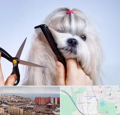 آرایشگاه حیوانات خانگی در سهند تبریز