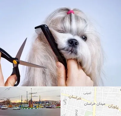 آرایشگاه حیوانات خانگی در میدان خراسان