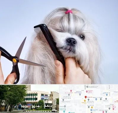 آرایشگاه حیوانات خانگی در طالقانی