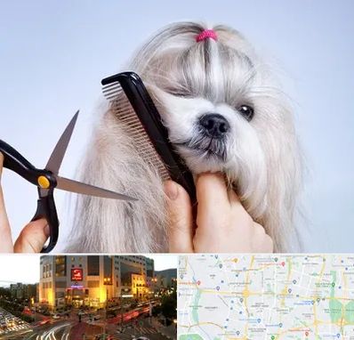 آرایشگاه حیوانات خانگی در جنت آباد تهران 