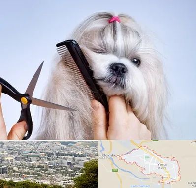 آرایشگاه حیوانات خانگی در یاسوج