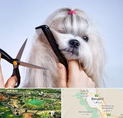 آرایشگاه حیوانات خانگی در بروجرد