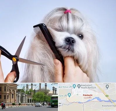 آرایشگاه حیوانات خانگی در پاکدشت