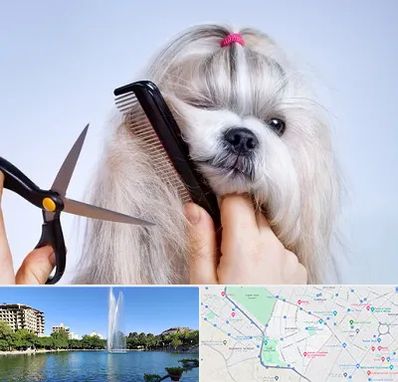 آرایشگاه حیوانات خانگی در کوهسنگی مشهد