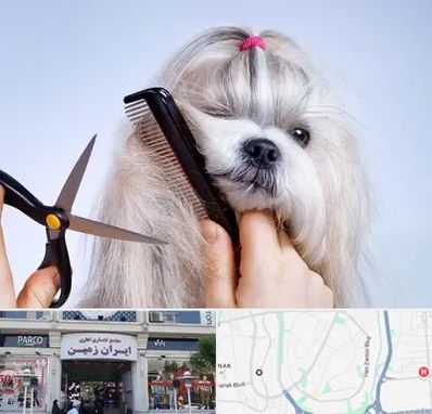 آرایشگاه حیوانات خانگی در ایران زمین