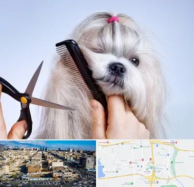 آرایشگاه حیوانات خانگی در شهرک راه آهن