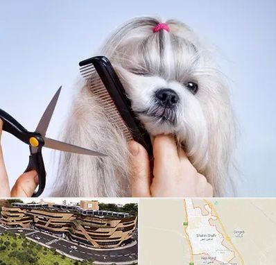 آرایشگاه حیوانات خانگی در شاهین شهر