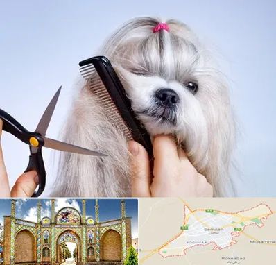 آرایشگاه حیوانات خانگی در سمنان
