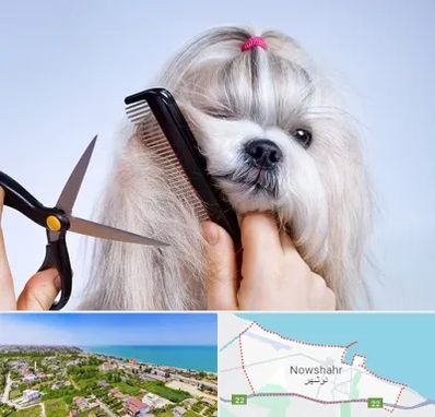 آرایشگاه حیوانات خانگی در نوشهر