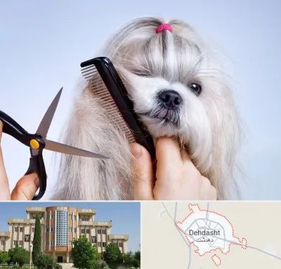 آرایشگاه حیوانات خانگی در دهدشت