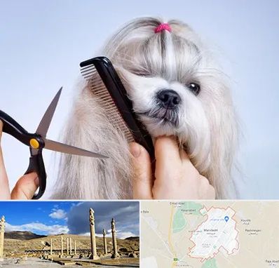 آرایشگاه حیوانات خانگی در مرودشت