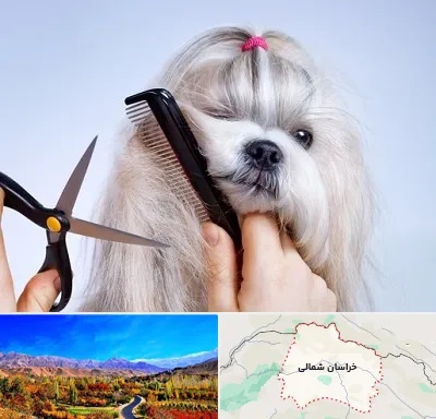 آرایشگاه حیوانات خانگی در خراسان شمالی
