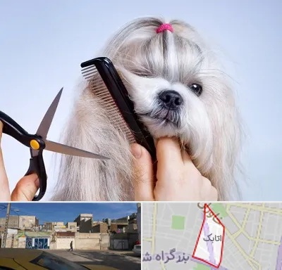 آرایشگاه حیوانات خانگی در اتابک