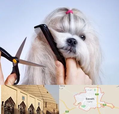 آرایشگاه حیوانات خانگی در ساوه