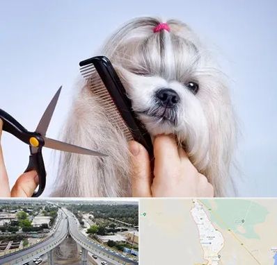 آرایشگاه حیوانات خانگی در اندیمشک