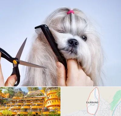 آرایشگاه حیوانات خانگی در دربند