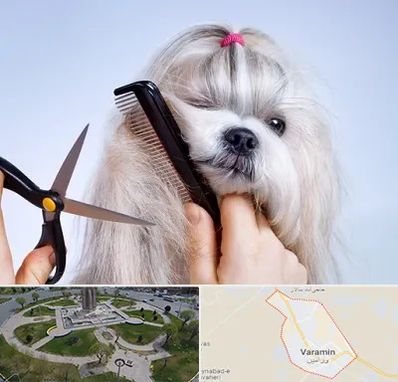 آرایشگاه حیوانات خانگی در ورامین