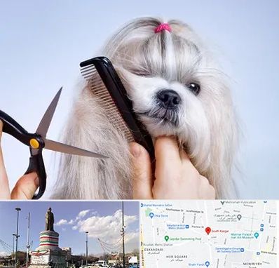 آرایشگاه حیوانات خانگی در کارگر جنوبی