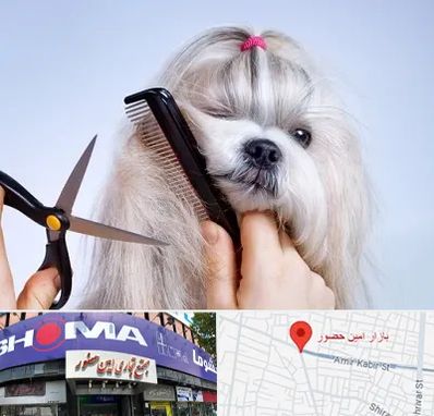 آرایشگاه حیوانات خانگی در امین حضور
