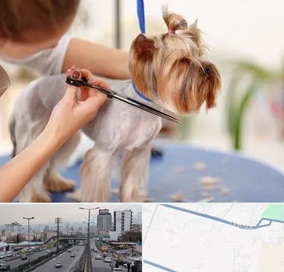 آرایشگاه سگ در بلوار ارتش