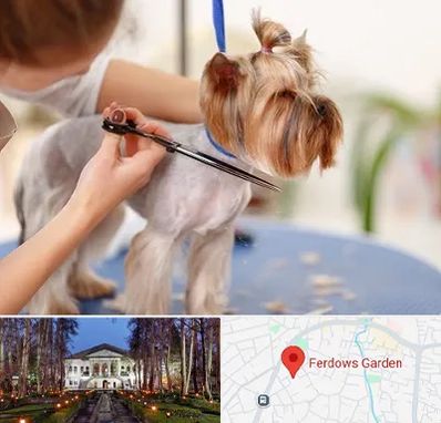 آرایشگاه سگ در باغ فردوس