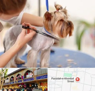 آرایشگاه سگ در 15 خرداد