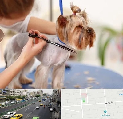 آرایشگاه سگ در خیابان دامپزشکی