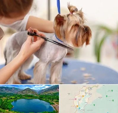 آرایشگاه سگ در رودبار