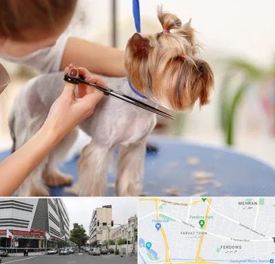 آرایشگاه سگ در بلوار فردوس 