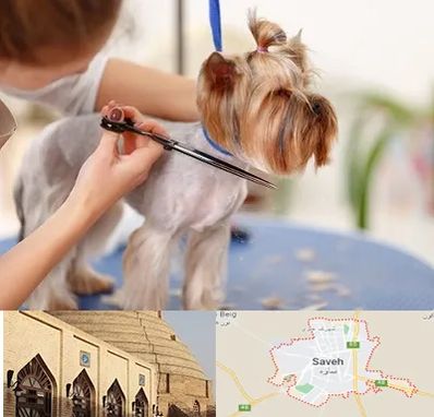 آرایشگاه سگ در ساوه