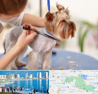 آرایشگاه سگ در چیتگر 