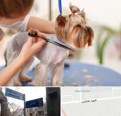 آرایشگاه سگ در سی متری جی