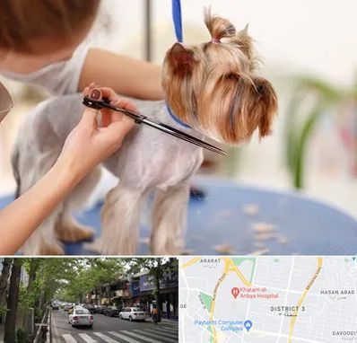 آرایشگاه سگ در ظفر 