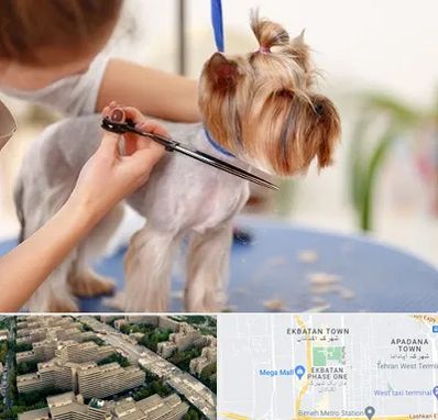 آرایشگاه سگ در اکباتان 