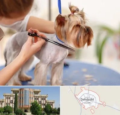 آرایشگاه سگ در دهدشت