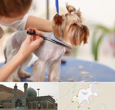 آرایشگاه سگ در شهرضا