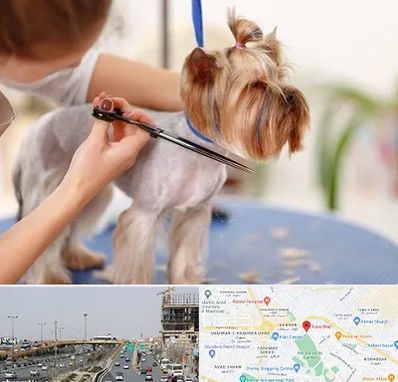 آرایشگاه سگ در بلوار توس مشهد