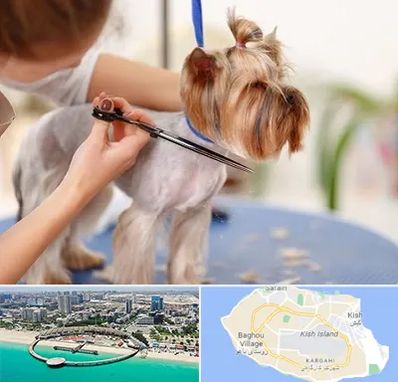آرایشگاه سگ در کیش