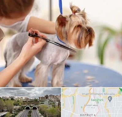 آرایشگاه سگ در یوسف آباد 
