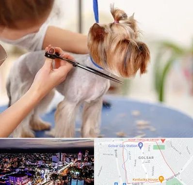 آرایشگاه سگ در گلسار رشت