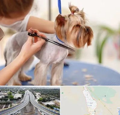 آرایشگاه سگ در اندیمشک