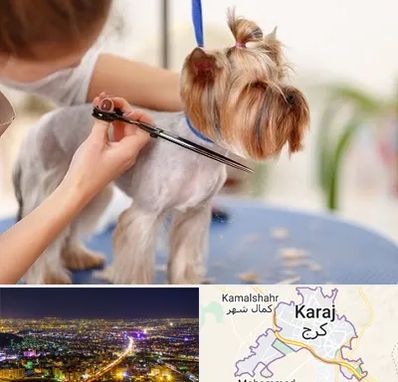 آرایشگاه سگ در کرج