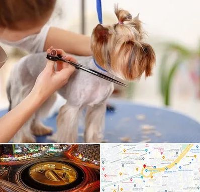 آرایشگاه سگ در میدان ولیعصر