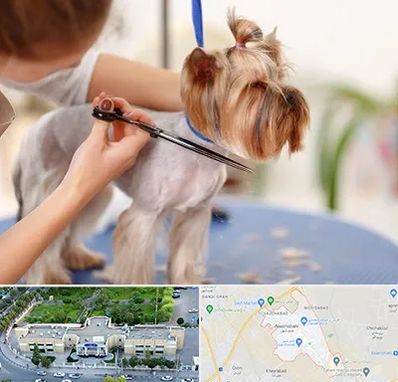 آرایشگاه سگ در نسیم شهر