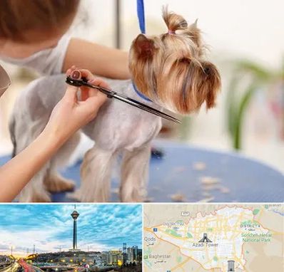 آرایشگاه سگ در تهران