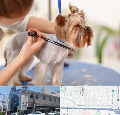 آرایشگاه سگ در بلوار ابوذر