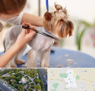 آرایشگاه سگ در کاشمر