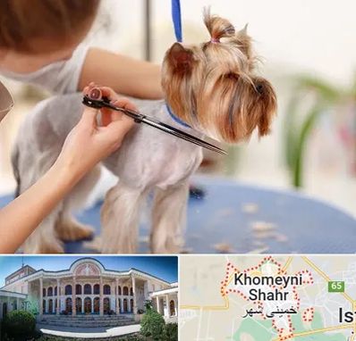 آرایشگاه سگ در خمینی شهر