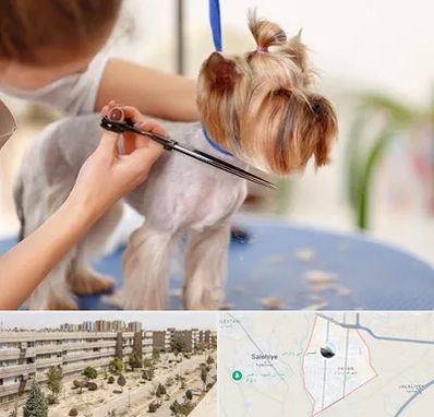 آرایشگاه سگ در واوان اسلامشهر