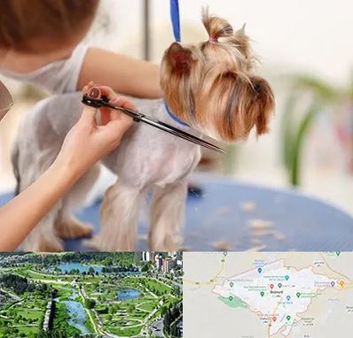 آرایشگاه سگ در بجنورد